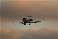 Rui Guerreiro - www.portugalspotters.org. Click to see full size photo