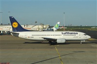 Carlos Moreira  *  PortugalSpotters.org. Click to see full size photo