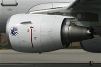 Jos Miguel Bernases - Noisy Spotters. Click to see full size photo