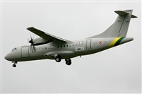La Roche Spotters. Click to see full size photo