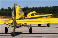 Andr Garcez - apeapt.com. Click to see full size photo