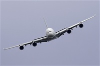 Jos Miguel Bernases - Noisy Spotters. Click to see full size photo