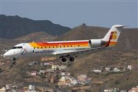 Ayoze Santana Mendez - Canary Islands Spotting. Click to see full size photo