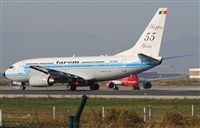 Rubn Gil - Noisy Spotters. Click to see full size photo