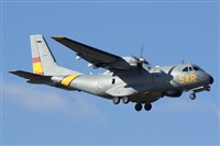 H.volar. Click to see full size photo