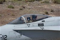 Gerardo A. Prez   Canary Islands Spotting. Click to see full size photo