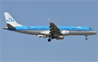 Rubn Gil - Noisy Spotters. Click to see full size photo