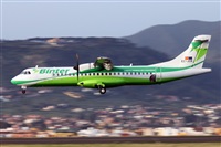 Nacho Rodriguez - Canary Islands Spotting. Click to see full size photo