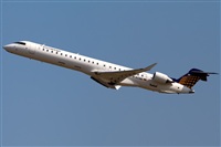 Javier de la Cruz - CANARY ISLANDS SPOTTING. Click to see full size photo