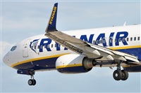 Rubn Gil - Noisy Spotters. Click to see full size photo