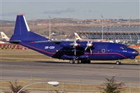Rubn Gil - Noisy Spotters. Click to see full size photo