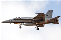 J. Victor Vega-Gran Canaria Spotters. Click to see full size photo