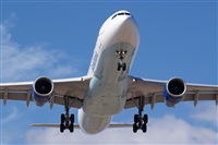 Saimon J Rodriguez   -   Canary Islands Spotting. Click to see full size photo