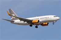 ©Alfonso Solís - Asociación Canary Islands Spotting. Click to see full size photo ©Alfonso Solís - Asociación Canary Islands Spotting. Click to see full size photo