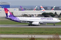 Rubn Gil - Noisy Spotters. Click to see full size photo