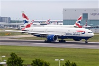 Javier de la Cruz - CANARY ISLANDS SPOTTING. Click to see full size photo