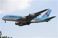 Miguel Alia - Noisy Spotters. Click to see full size photo
