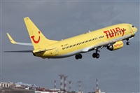 ©Alfonso Solís - Asociación Canary Islands Spotting. Click to see full size photo ©Alfonso Solís - Asociación Canary Islands Spotting. Click to see full size photo