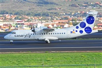 Miguel A. gueda Rguez.  (CANARY ISLANDS SPOTTING). Click to see full size photo