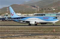 Alfonso Sols - Asociacin Canary Islands Spotting. Click to see full size photo