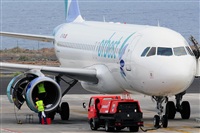 Miguel A. gueda Rguez.  (CANARY ISLANDS SPOTTING). Click to see full size photo