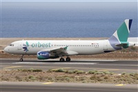 Alfonso Sols - Asociacin Canary Islands Spotting. Haz click para ampliar