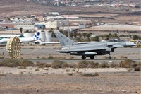 Alfonso Sols - Asociacin Canary Islands Spotting. Haz click para ampliar