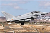 Adrin Alonso Lemes - Lanzarote Spotters. Click to see full size photo