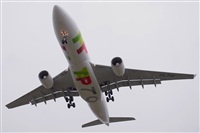 Miguel A. gueda Rguez.  (CANARY ISLANDS SPOTTING). Click to see full size photo