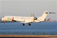 Adrin Alonso Lemes - Lanzarote Spotters. Click to see full size photo