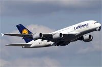 Rubn Gil - Noisy Spotters. Click to see full size photo