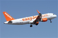 Alfonso Sols - Asociacin Canary Islands Spotting. Click to see full size photo