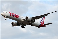 Miguel Martin Cordeiro - Iberian Spotters. Click to see full size photo