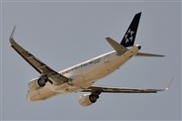 A. Raff-Lehner. Click to see full size photo