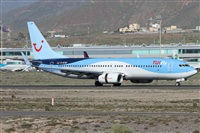 ©Alfonso Solís - Asociación Canary Islands Spotting. Click to see full size photo ©Alfonso Solís - Asociación Canary Islands Spotting. Click to see full size photo