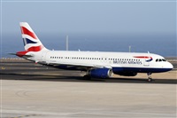 Alfonso Sols - Asociacin Canary Islands Spotting. Click to see full size photo