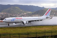 Miguel A. gueda Rguez.  (CANARY ISLANDS SPOTTING). Click to see full size photo