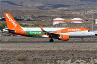 ©Alfonso Solís - Asociación Canary Islands Spotting. Click to see full size photo ©Alfonso Solís - Asociación Canary Islands Spotting. Click to see full size photo