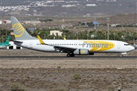 Alfonso Sols - Asociacin Canary Islands Spotting. Haz click para ampliar