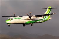 Javier de la Cruz - CANARY ISLANDS SPOTTING. Click to see full size photo