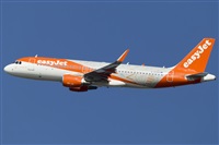 Rubn Gil - Noisy Spotters. Click to see full size photo