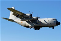 Fco Javier Garca Ruiz. Click to see full size photo