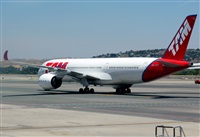 ©Alejandro H.L - Gran Canaria Spotters. Click to see full size photo ©Alejandro H.L - Gran Canaria Spotters. Click to see full size photo