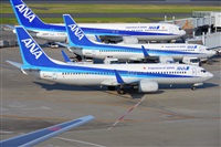Miguel A. gueda Rguez.  (CANARY ISLANDS SPOTTING). Click to see full size photo