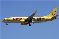 ©Alfonso Solís - Asociación Canary Islands Spotting. Click to see full size photo ©Alfonso Solís - Asociación Canary Islands Spotting. Click to see full size photo