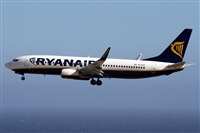 Alfonso Sols - Asociacin Canary Islands Spotting. Click to see full size photo