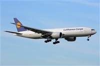 Miguel A. gueda Rguez.  (CANARY ISLANDS SPOTTING). Click to see full size photo