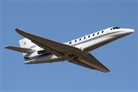 Alfonso Sols - Asociacin Canary Islands Spotting. Haz click para ampliar