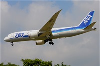Miguel A. gueda Rguez.  (CANARY ISLANDS SPOTTING). Click to see full size photo