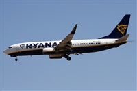 Alfonso Sols - Asociacin Canary Islands Spotting. Haz click para ampliar